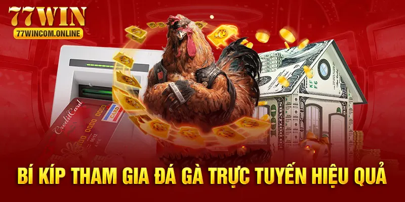 Cẩm nang bí kíp tham gia đá gà trực tuyến từ cao thủ