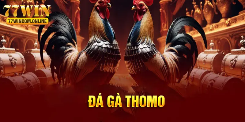 Đá Gà Thomo Tại 77WIN - Bí Quyết Chinh Phục Từ Cao Thủ