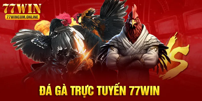 Đá Gà Trực Tuyến Tại 77WIN – Thú Vui Hấp Dẫn Thời Hiện Đại