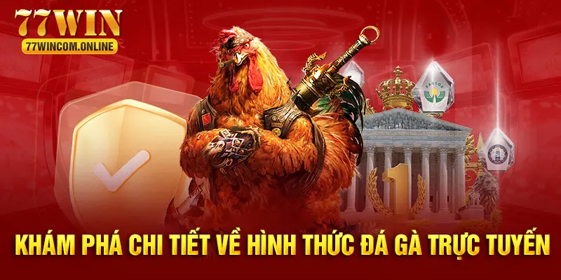 Khám phá chi tiết về đá gà trực tuyến tại 77WIN 