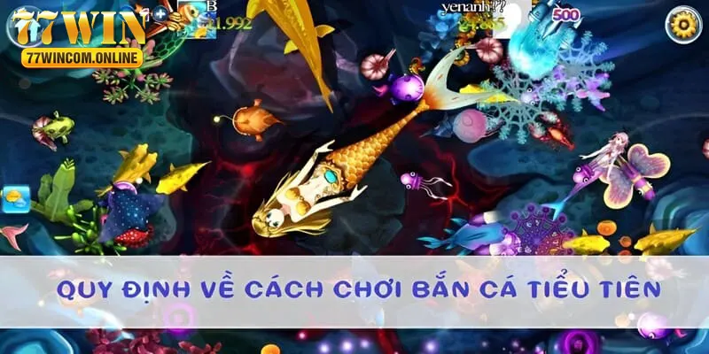 Nắm vững các quy định để chơi bắn cá tiểu tiên hiệu quả