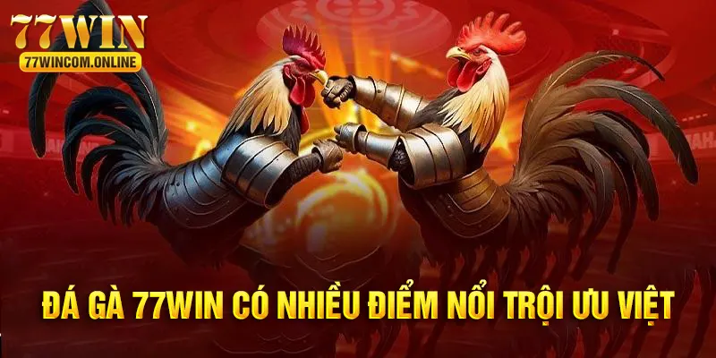 Sở hữu nhiều ưu điểm vượt trội nên đá gà 77WIN rất thu hút