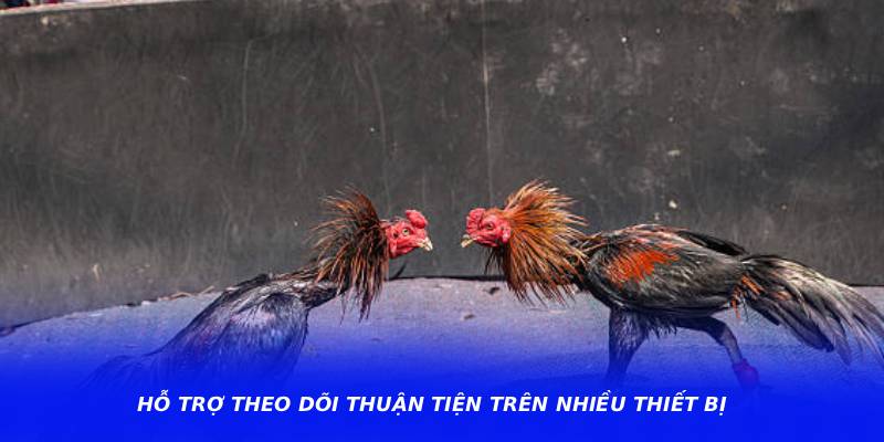 Hỗ trợ theo dõi thuận tiện trên nhiều thiết bị